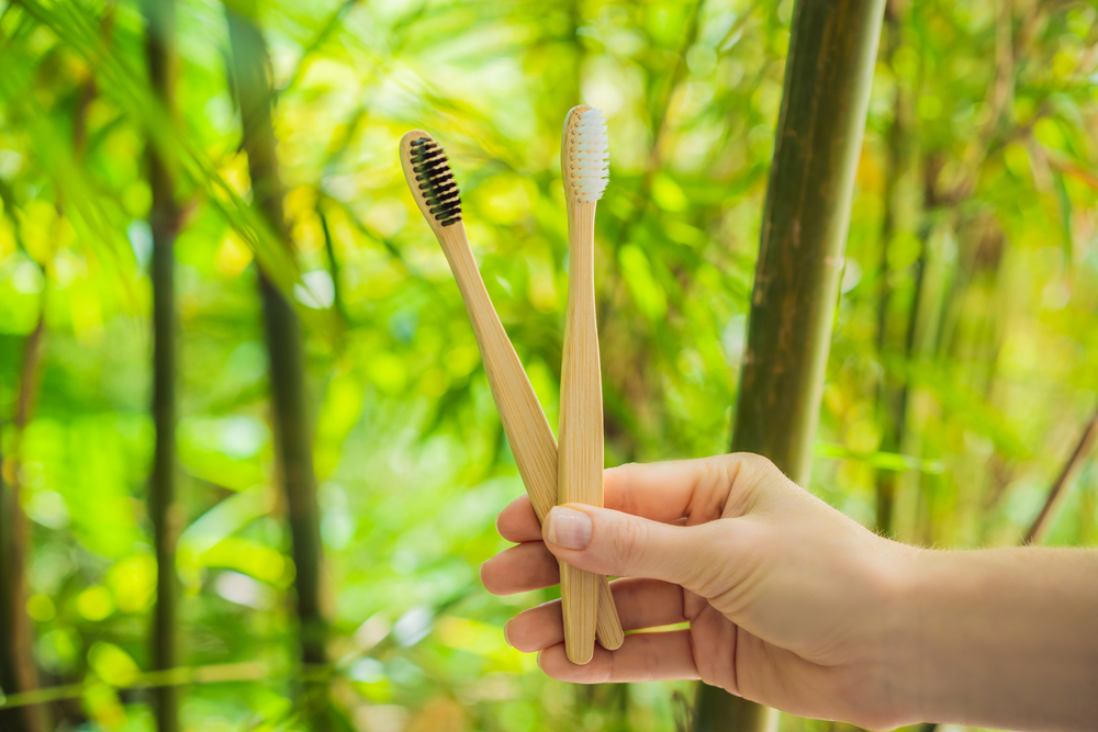 Bamboo toothbrush on a background of green growing bamboo.